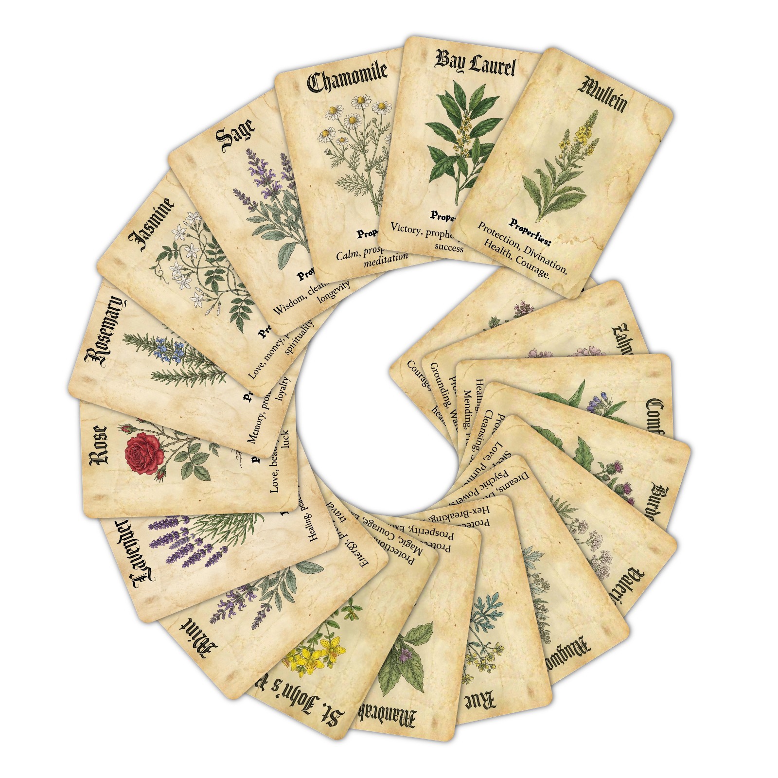 Vintage Magic Plant Theme Know - đánh giá và giá Vintage And Collectible